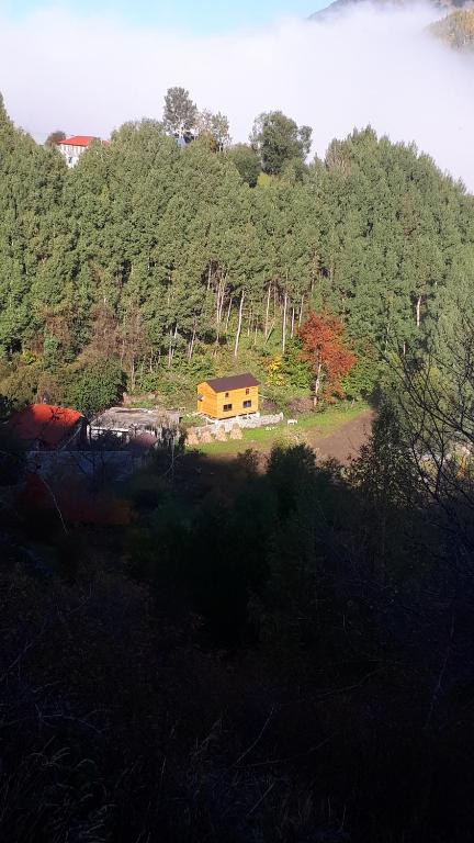 Guesthouse