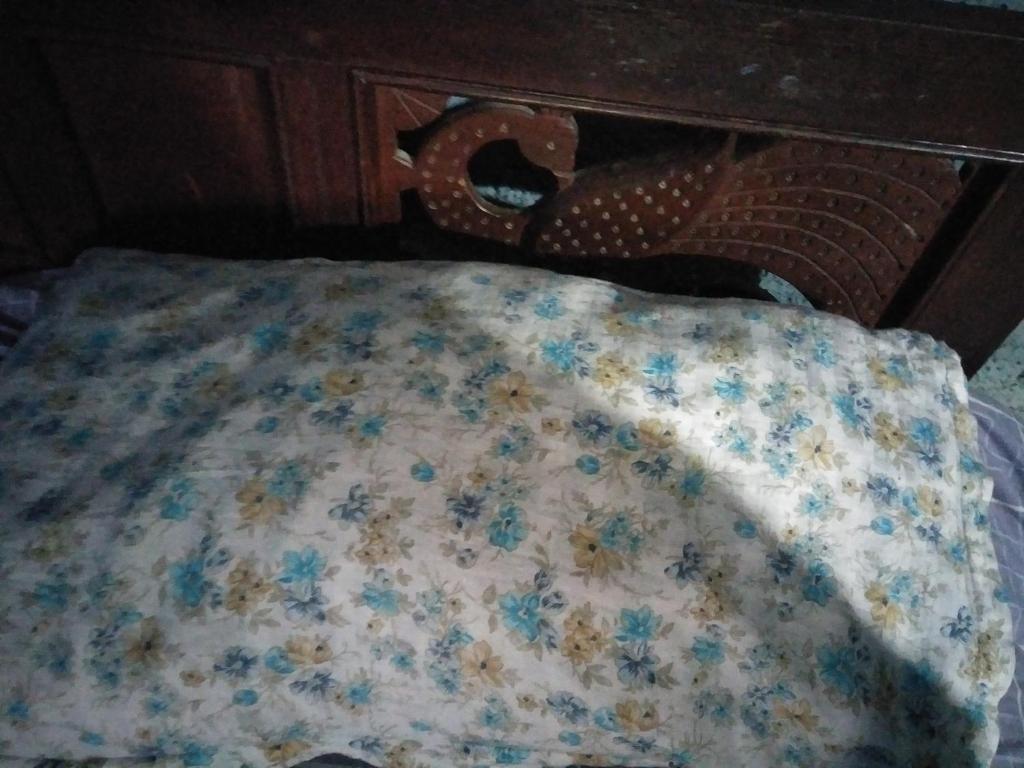 Pame Farm Stay - Housity