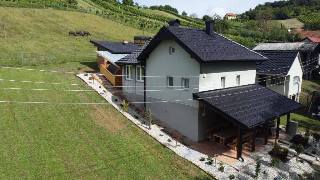 - une vue aérienne sur une maison dotée de panneaux solaires dans l'établissement Vila Tamaškut, à Lendava