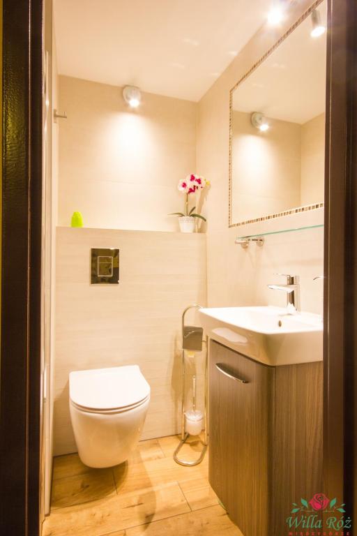 Willa Róż w Międzygórzu - 7