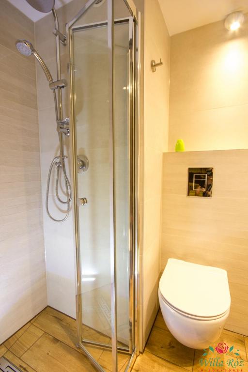 Willa Róż w Międzygórzu - 8