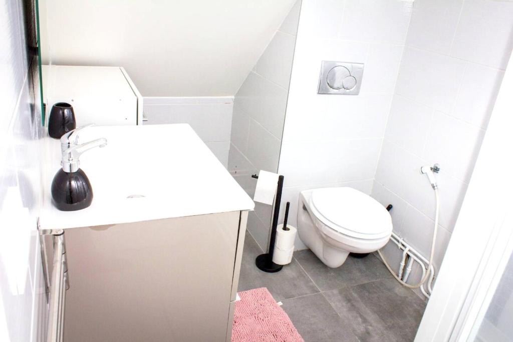 Baño blanco con aseo y lavamanos en Maison d'une chambre avec jardin et wifi a Roissy en Brie, en Roissy-en-Brie