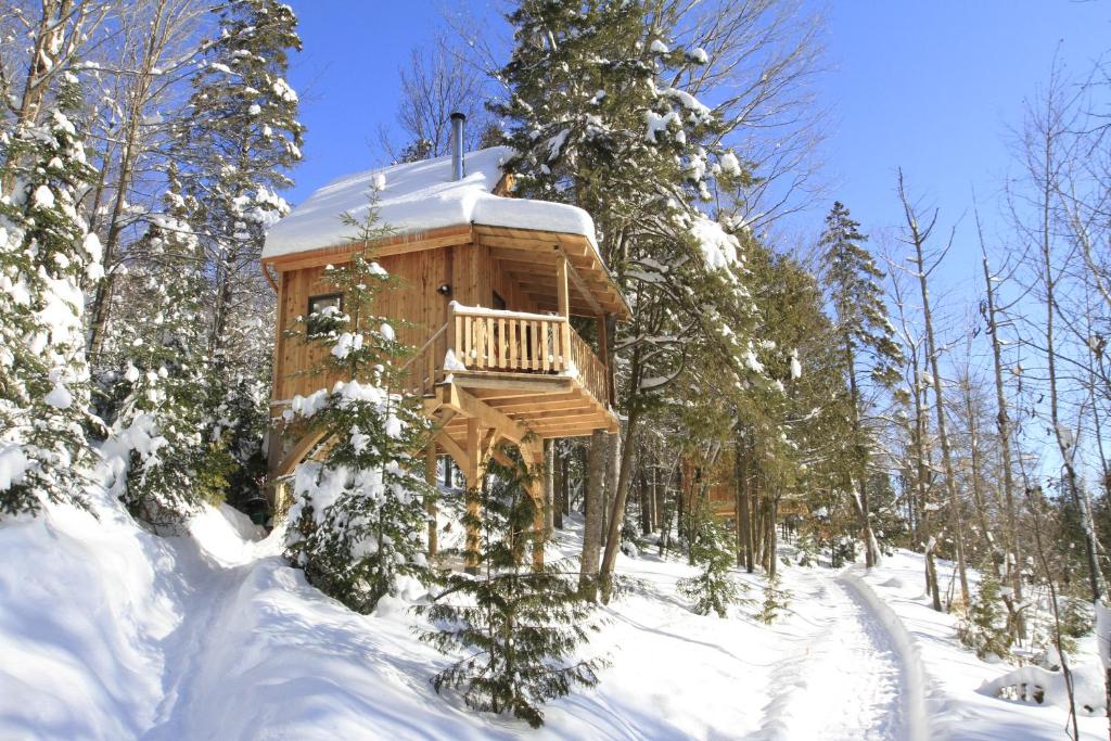a log cabin in the woods in the snow at Les Cabanes du Trappeur in Wentworth-Nord