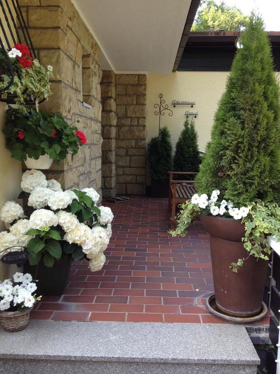 Zahrada ubytování Gästehaus Graul