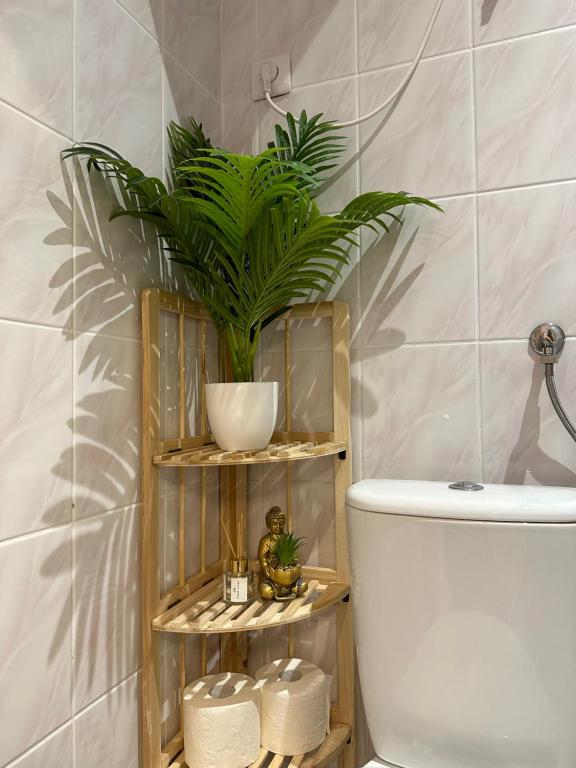 - une salle de bains avec une plante sur une étagère en bois à côté de toilettes dans l'établissement Apartament Piaskowy Kołłątaja, à Tomaszów Mazowiecki