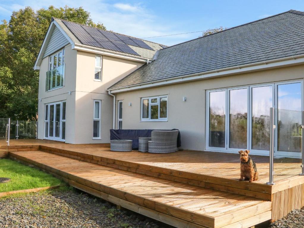 a deck with a dog sitting on it in front of a house at Linden View in Ilfracombe