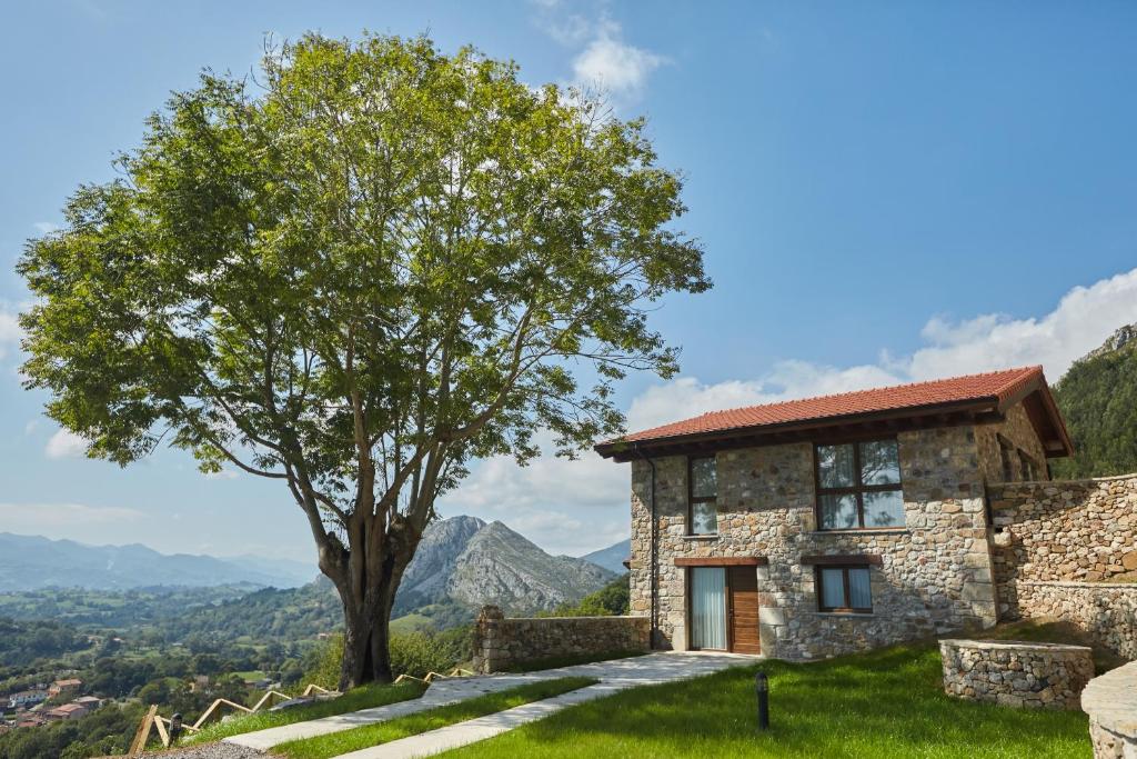 una casa de piedra en una colina con un árbol en Apartamentos Rurales Casa la Piedra, en Collía