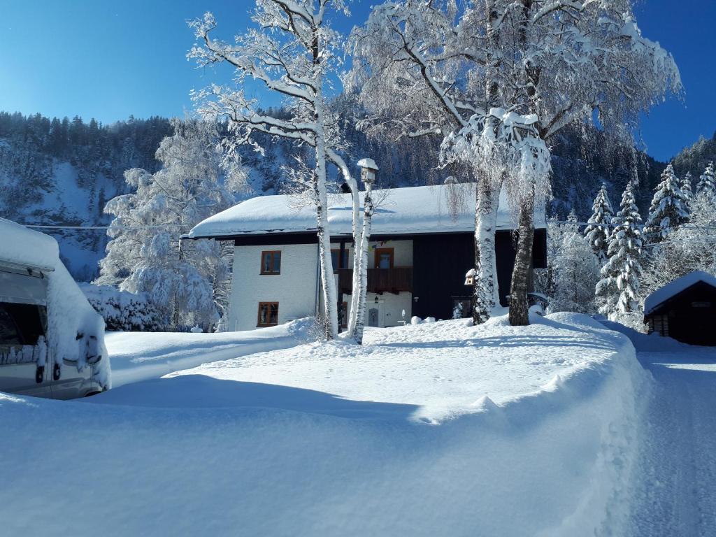 una casa cubierta de nieve con árboles delante en Ferienwohnung Achselkopf en Musau