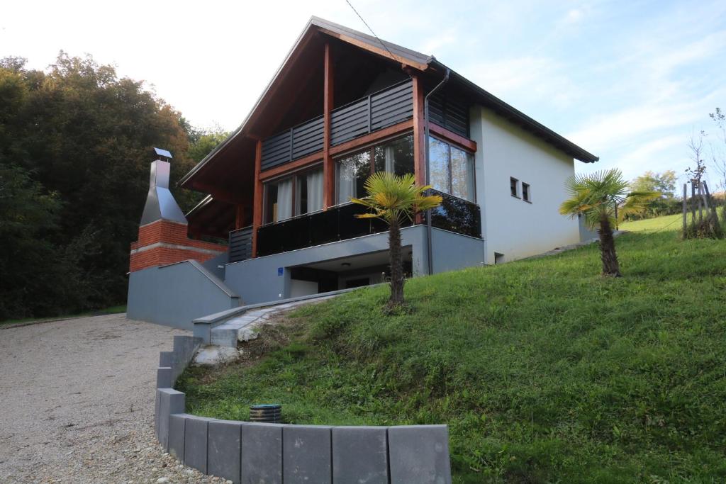 dom na wzgórzu z palmami przed nim w obiekcie Holiday Home Rajf w mieście Donji Koncovčak