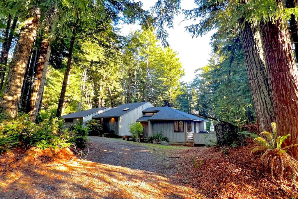 a house in the middle of a forest at The Choli House in Crescent City