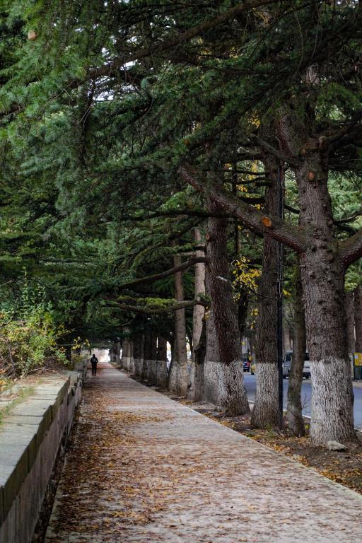 Fotografie z fotogalerie ubytování Sunny Lodge Dilijan v destinaci Dilidžan