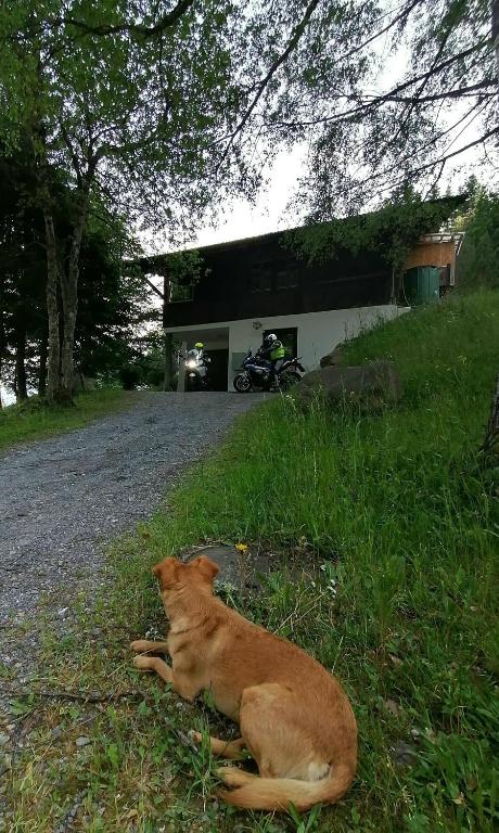 Fotografie z fotogalerie ubytování Gemütliche FeWo mit Sauna inmitten der Berge v destinaci Meiringen