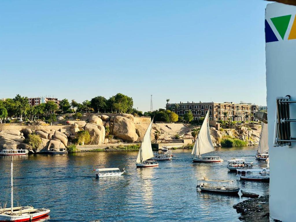 un groupe de bateaux flottant sur une rivière dans l'établissement MasTonKel, à Assouan