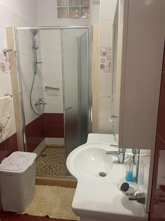 Asja Apartment City Center - Imazhi 8