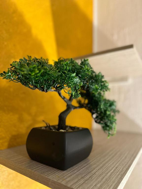Fotografie z fotogalerie ubytování Hotel Casa Lucca v destinaci Medellín