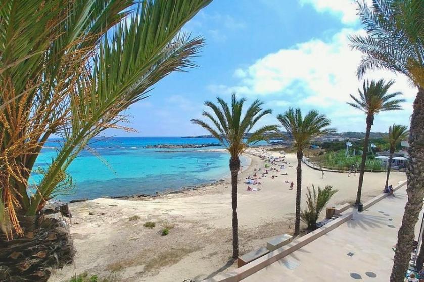 Blick auf einen Strand mit Palmen und das Meer in der Unterkunft Apartments Yes, Es Pujols-Formentera vacaciones in Es Pujols