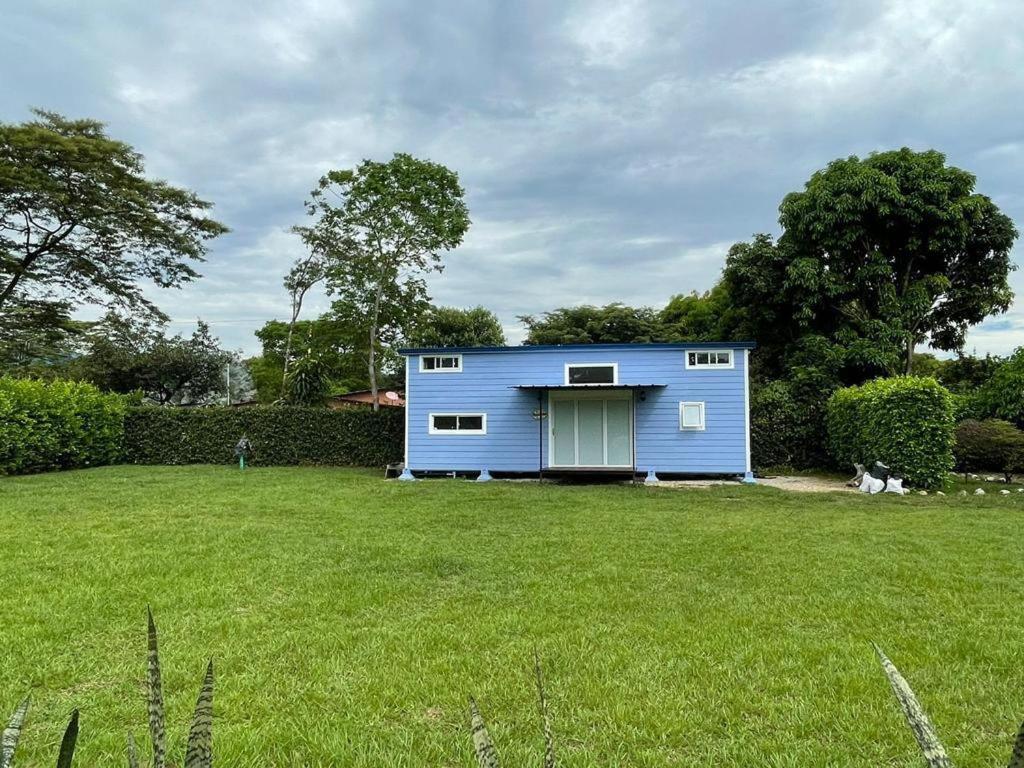 a blue house in a field with a yard at Tiny House Tauramena in Tauramena
