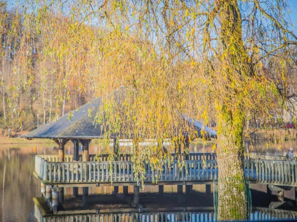 une maison sur l'eau à côté d'un arbre dans l'établissement Les Terrasses Du Lac, à Vielsalm