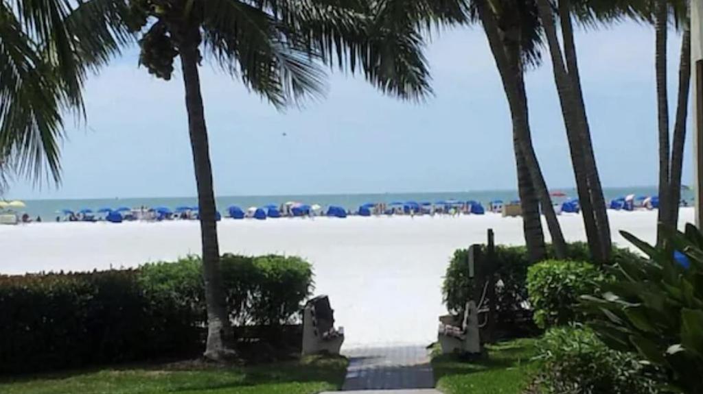 a view of a beach with palm trees at Always Summer On a White Sandy Beach in Fort Myers Beach