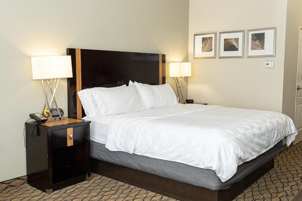 Holiday Inn Effingham by IHG - スタンダード キングルーム