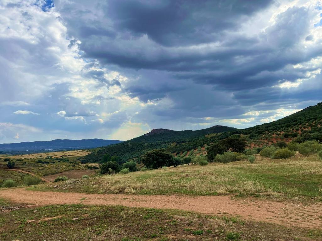 una vista de un campo con montañas en el fondo en Casa Rural La Peralosa en Piedrabuena