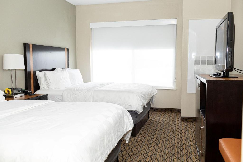 Holiday Inn Effingham by IHG - Suite Queen Con Dos Camas Queen Y Sofá Cama