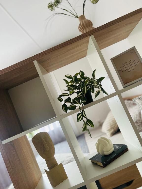 a room with a shelf with a plant on it at Golden joy in Sarajevo