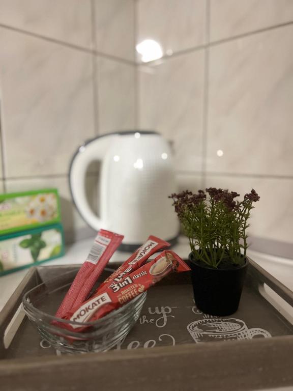 a kitchen counter with a sink with toothpaste and a plant at Golden joy in Sarajevo