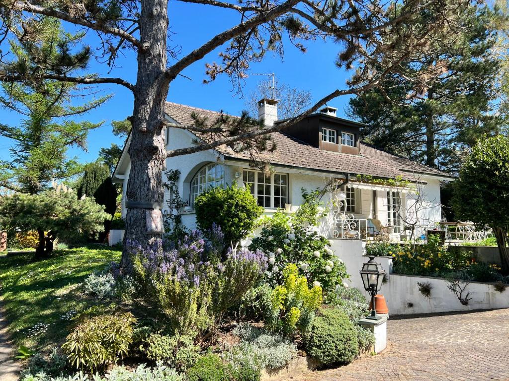 Le Cottage في Vésenaz: البيت الأبيض مع الزهور أمامه