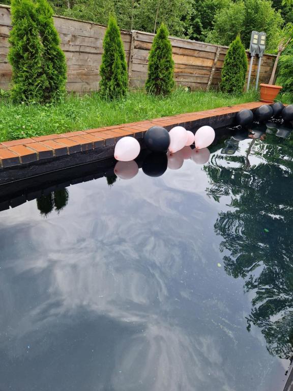 Příroda nedaleko chaty