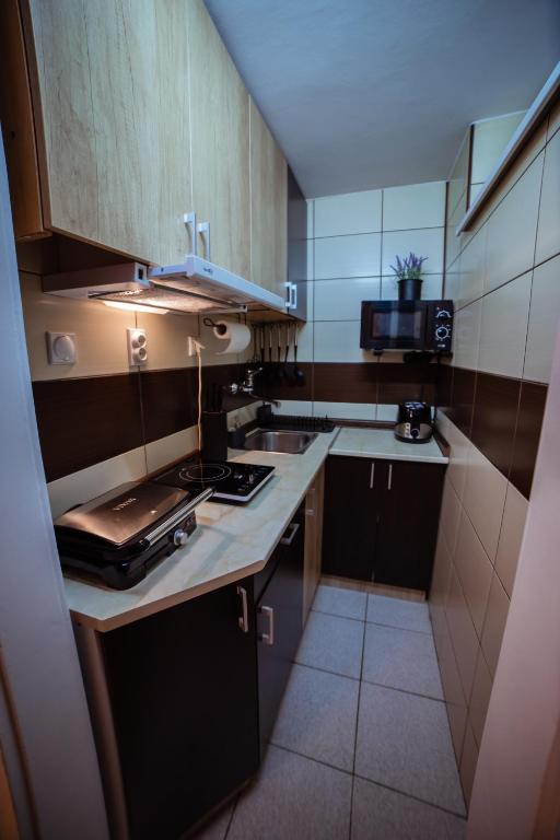 Kuchyň nebo kuchyňský kout v ubytování Stan na dan Premium 030