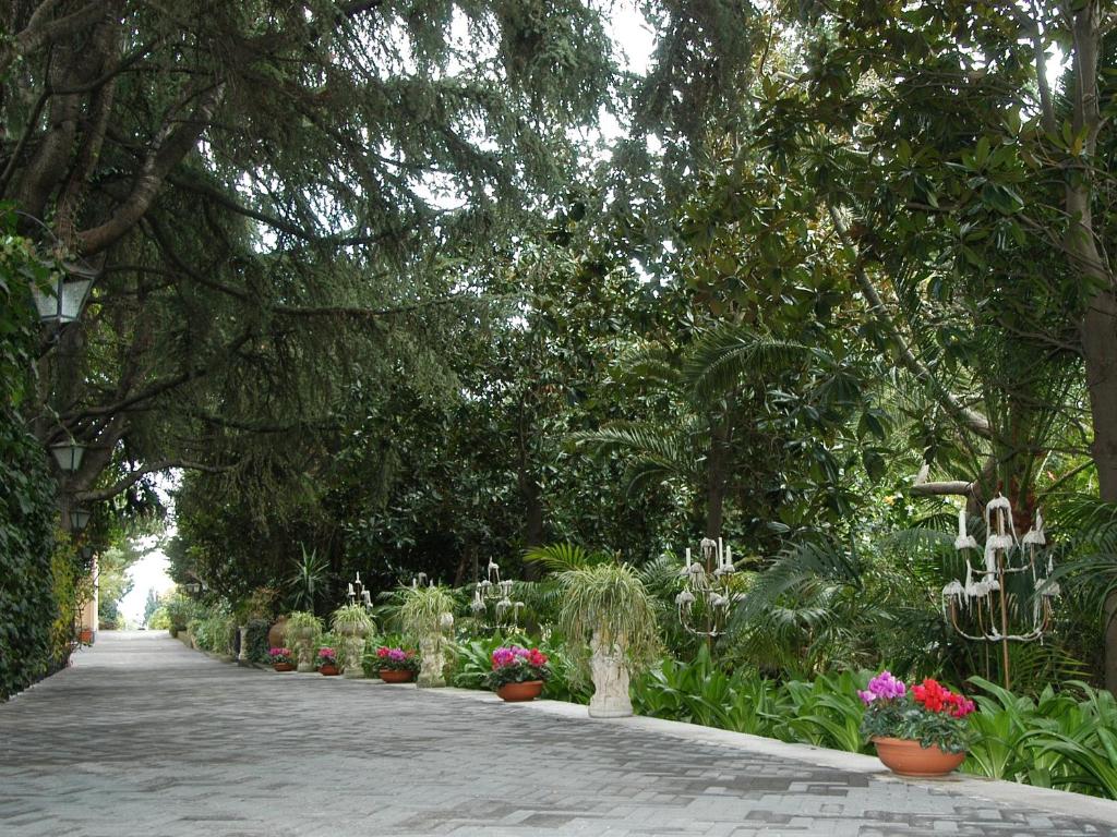 Vonkajšia záhrada v ubytovaní Villa Solaria