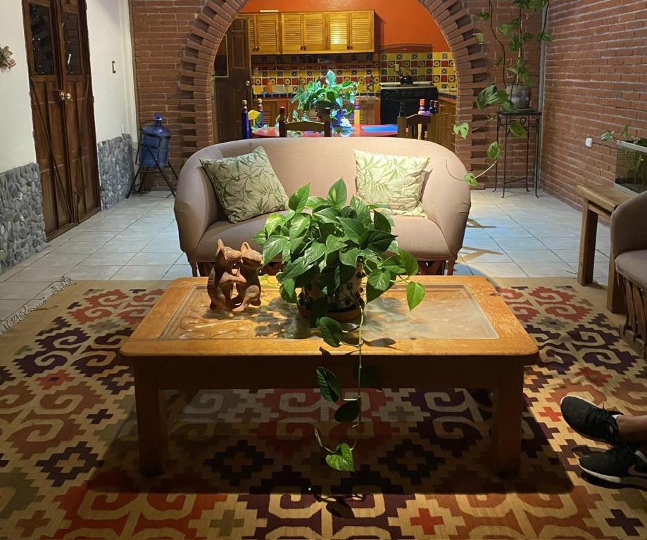 Casa Gutiérrez في Teotitlán del Valle: غرفة معيشة مع طاولة قهوة مع نباتات الفخار