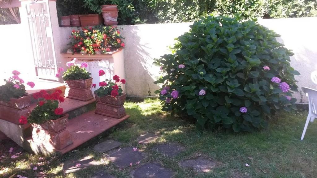Zahrada ubytování Hotel Anselmi