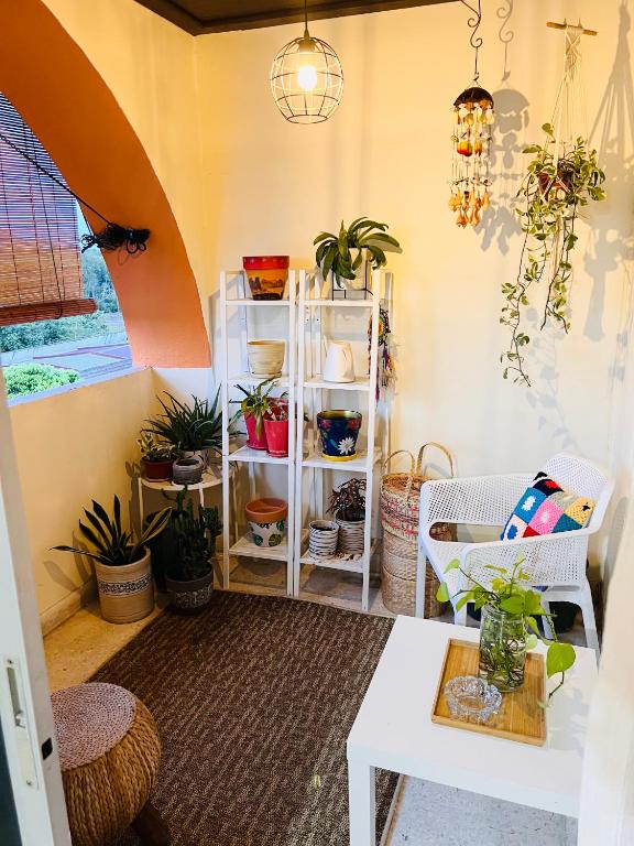 um quarto com uma prateleira com plantas e uma mesa em Rumah Penangkap Mimpi em Kertih