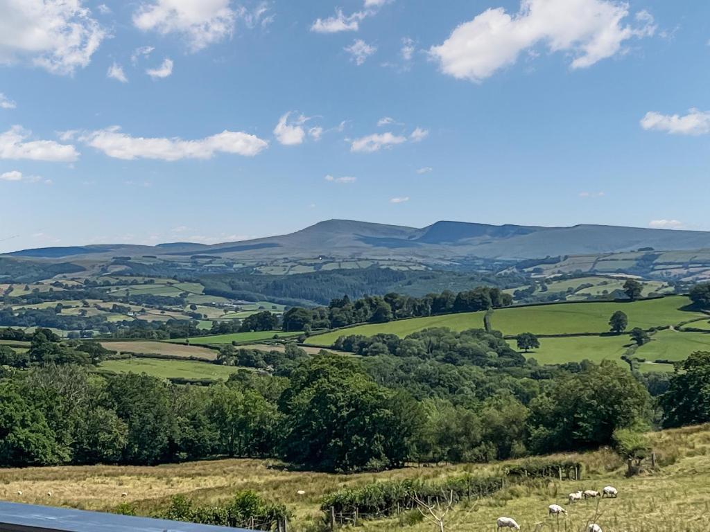 uma vista para um campo com ovelhas numa colina em Bwlchygwynt em Llanwrda