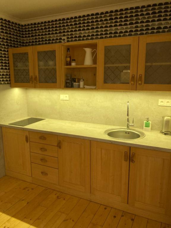 Kuchyň nebo kuchyňský kout v ubytování Apartmány Štěpánkova 85