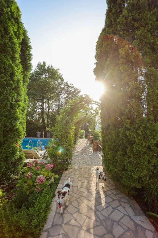Zahrada ubytování Villa Besha
