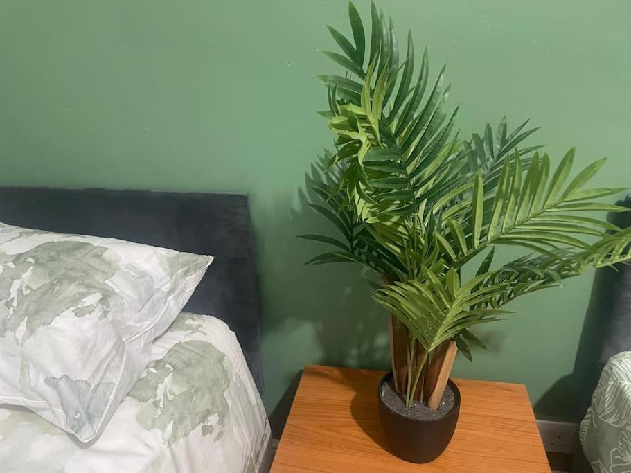 a potted plant on a table next to a bed at One2One - Duplex Relocations in Wakefield