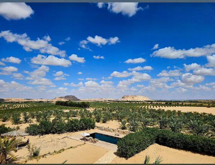 un campo con una piscina in mezzo al deserto di Beit Dina a Siwa