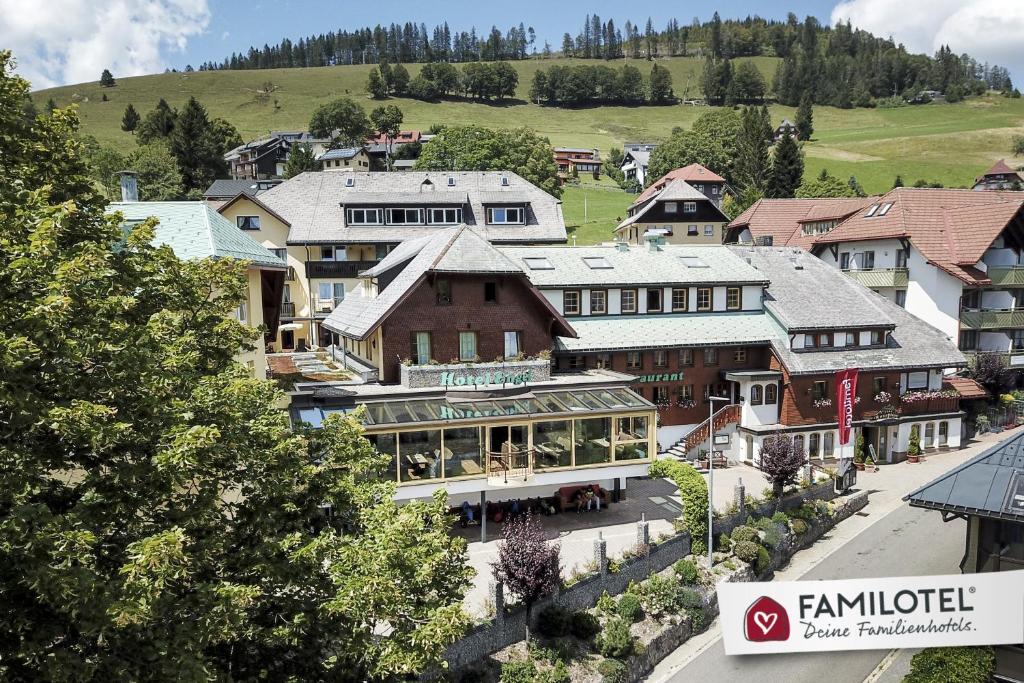 an aerial view of a small town with buildings at Hotel Engel - Familotel Hochschwarzwald in Todtnauberg