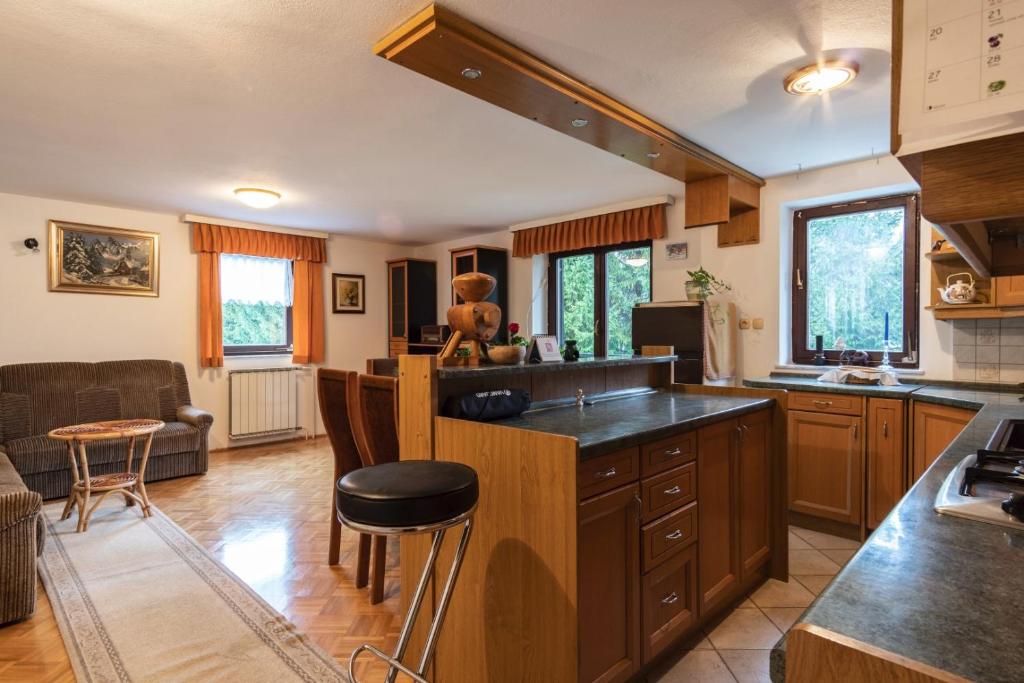 Kuchyň nebo kuchyňský kout v ubytování Apartment Satya