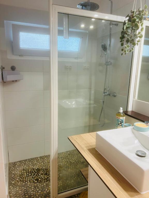 Koupelna v ubytování Studio Fresh&Cosy Trois-Ilets - 3 étoiles-Hotel Carayou