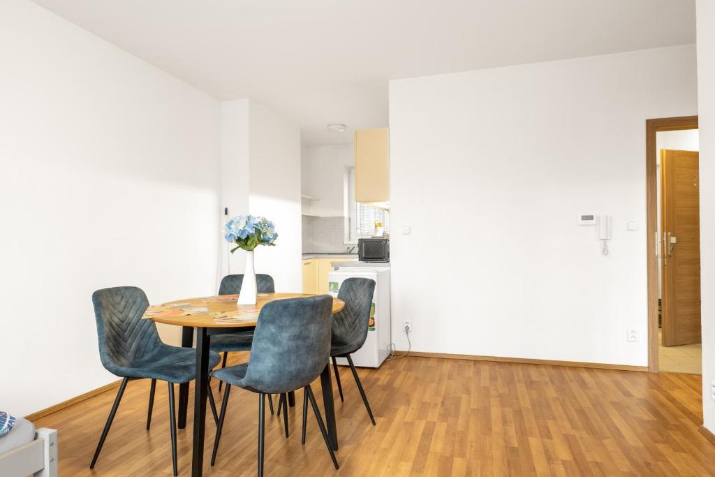 Kuchyň nebo kuchyňský kout v ubytování Apartmány Borská Plzeň