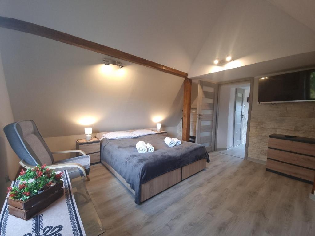 1 dormitorio con 1 cama, 1 silla y TV en Apartamenty Rodzinne en Witów