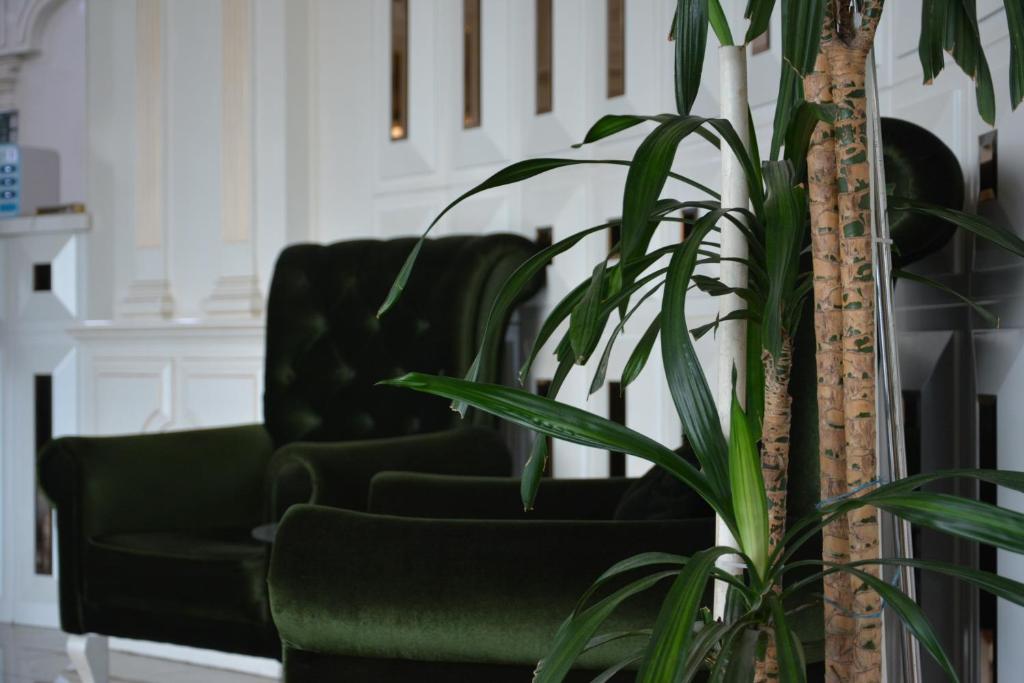 ein Wohnzimmer mit zwei Stühlen und einer Pflanze in der Unterkunft Emerald Hotel Baku in Baku