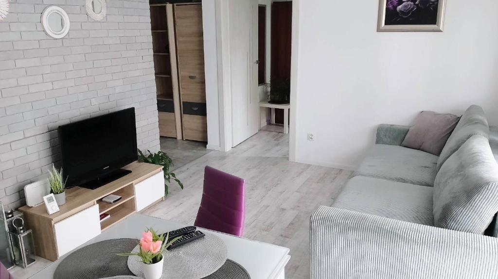 Apartament na Kruczej في لوبين: غرفة معيشة مع أريكة وتلفزيون