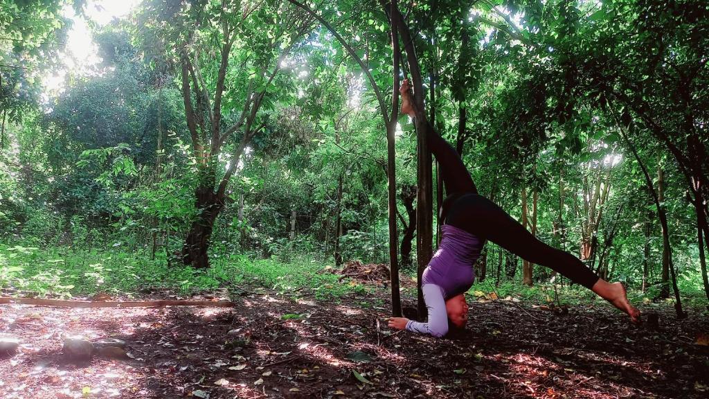 Hosté ubytování JUNGLE AERIAL ARTS NAMASTE LA UNION Chi fan kubo 2pax