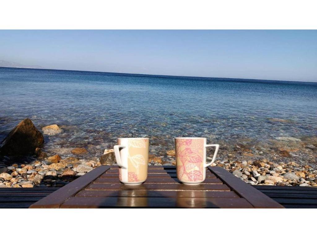 Paesaggio naturale nelle vicinanze della casa vacanze