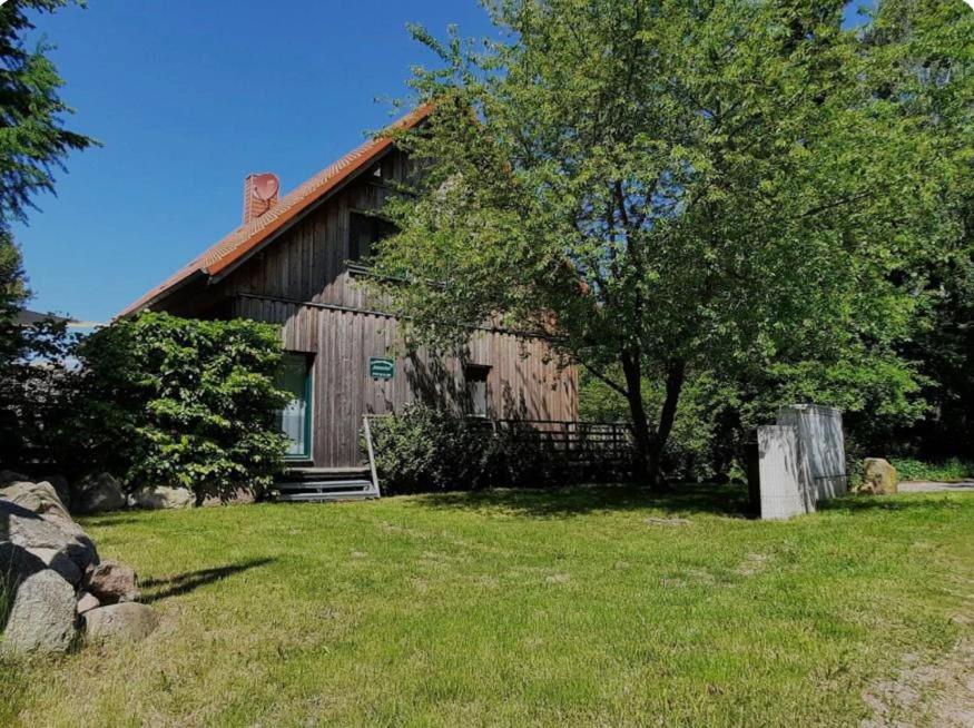 une cabane en rondins avec un arbre en face de celle-ci dans l'établissement Ferienwohnungen im Haus Waldstück, à Lärz